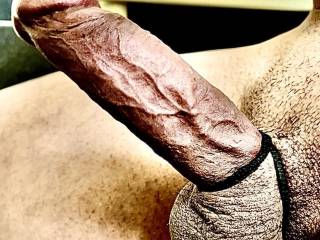 Hard one cock get up ⬆️