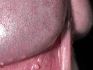 I love close-ups. I adore taking them, and I’m always happy when one turns out well. I hope this is the case.