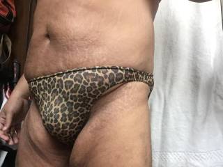 leopard bikini bulge closeup