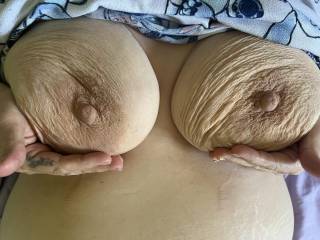 Hillarys big tits