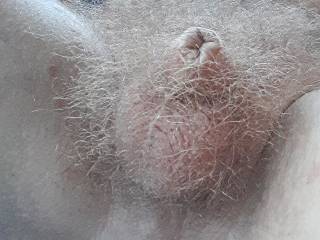 My hairy small nub, and micro testicles
