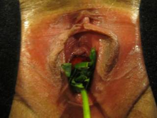 Pushing it back out...