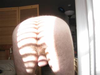 The sun hit the room just right for some fun with the blinds.