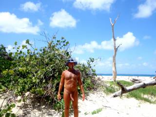 enjoying the delights of a deserted caribbean beach !