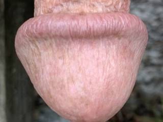 Can you believe the size of Mr. F’s mushroom head, even when he’s flaccid?  No wonder I cum so quickly every time he fucks me!  From Mrs. Floridaman