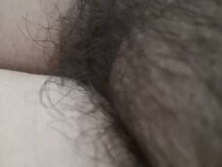 Do you like it hairy or maybe you prefer it shaved? Comments