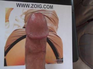 I might be just a little infatuated with PicDetective.