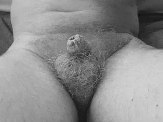 My small hairy tiny dick