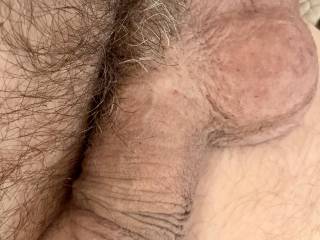 Relaxed cock. Needs some attention!