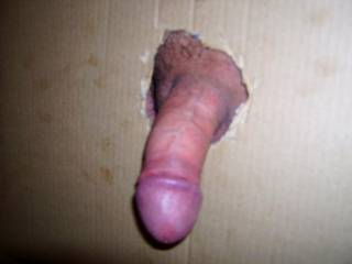 Limp Penis needing attention at Gloryhole!  Can any Ladies help?