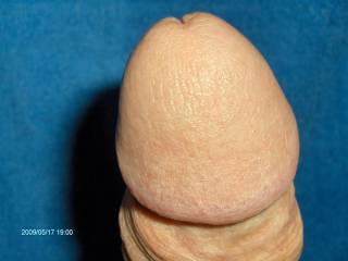 my dick