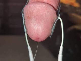 Anyone like a precum drip to a shot of warm cum