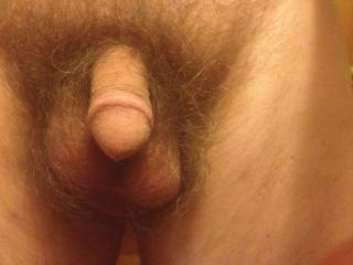 First dick pic