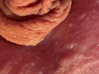 Erotic cock details.
