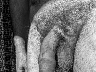 dick