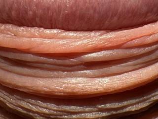 Erotic Art - The layers of my Mr. Cock.