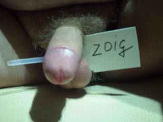 dick
