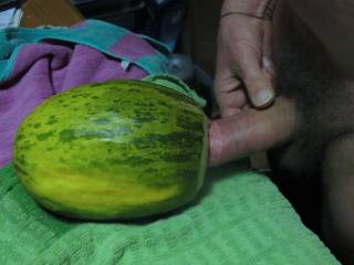 about to bury my dick into a juicy (melon-)hole
any girls willing to take-over my sweet dick?