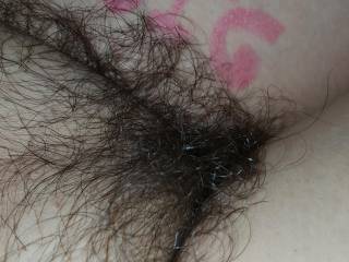 Hairy pussy for Zoig