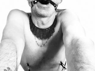 Dirty little boys like getting fucked in the ass.