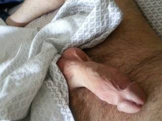 My morning wood - would you like to get up next to this?