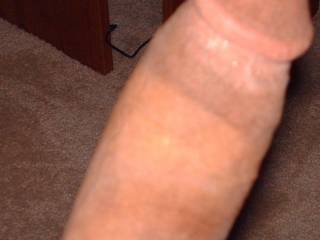 my cock