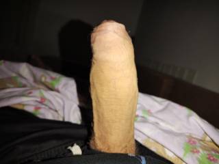 Cock crowing at dawn 😀