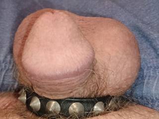 A little dick for Women's amusement