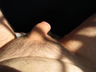 Taking a in the autumn sunlight.