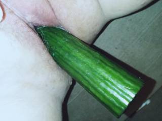 Super horny and found the biggest cucumber to stretch my tight pussy.