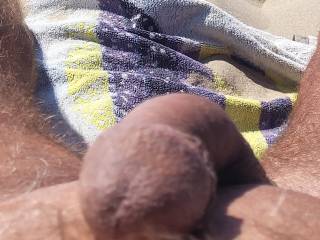 my cock lay in the sun