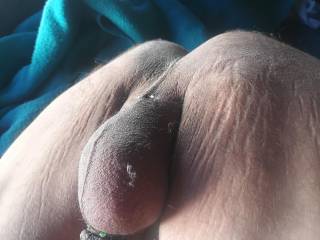 my balls
