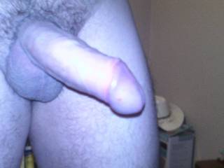 my cock