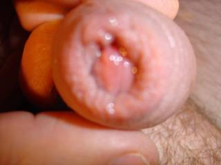 need a fuck