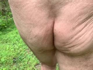 I just love following Mr. F’s tight butt cheeks on our nature walks.  From Mrs. Floridaman