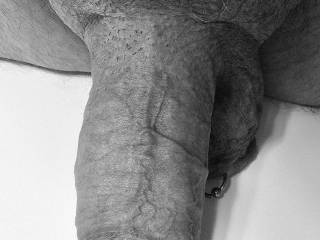 Erotic Art of my COCK