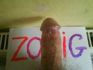 After viewing the zoig website for a couple of minutes, I decided to take this photo.