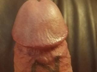 This is a top-down view of my verification cock