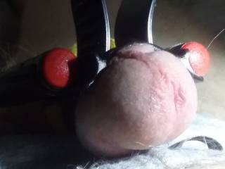 Close up head more