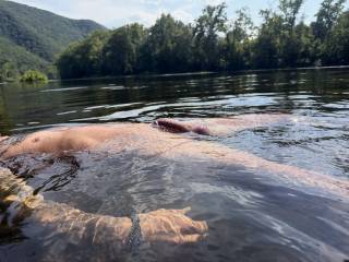 It too Hot to do anything but lay right here in this water and float around nude.