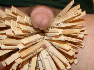was a dare how many cloth pins u can get on your nut sack