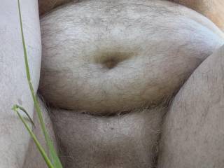 Look at my cock waiting patiently and my nipples hiding amongst the hair on my chest wouldn’t you like to play with me.