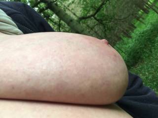All sorts of views of my friend's big tits in woodland - front, underneath, close, angled.