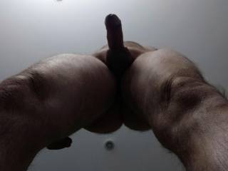new perspective