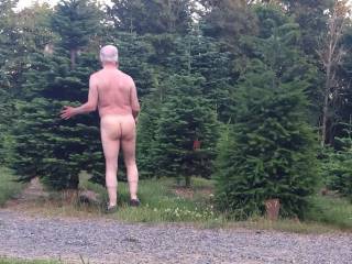 This is how a real tree hugger does it. Feeling the soft new growth of a xmas tree against my naked body.