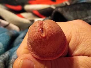 While playing with my cock I noticed some pre-cum and decided to show y\'all