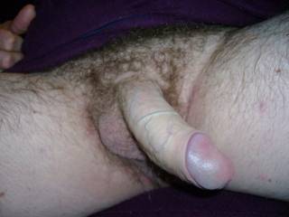 cock from the front