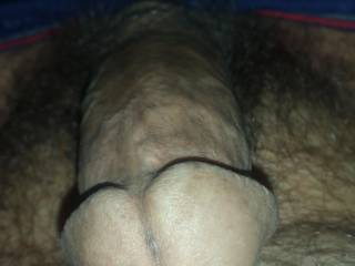 My morning  wood