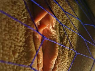 Closeup in fishnet
