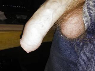 my dick anyone like to have a play ??